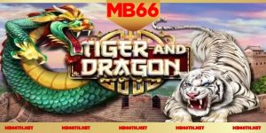 เคล็ดลับหา เลขลอตเตอรี่ วันนี้ เพิ่มโอกาสถูกรางวัลที่ MB66