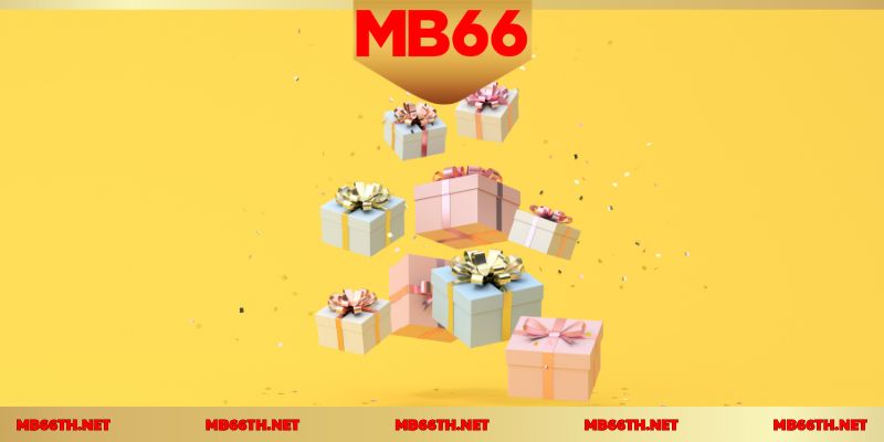 ทำความเข้าใจเงื่อนไขเพื่อความคุ้มค่าสูงสุด